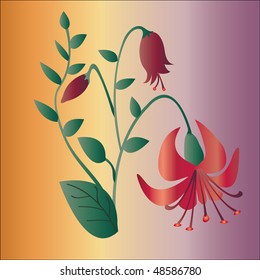 Beautiful flower