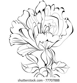 Beautiful flower