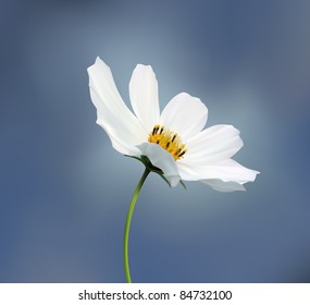 Beautiful Flower