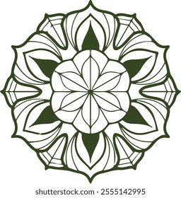 Beautiful flower art and mandala vector design