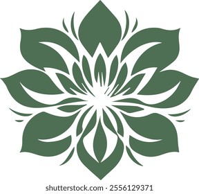 Beautiful flower art and mandala vector design