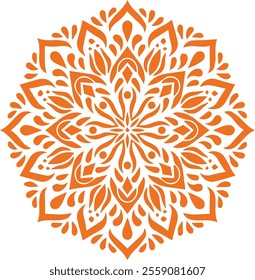 Beautiful flower art and mandala vector design