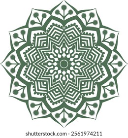 Beautiful flower art and mandala vector design