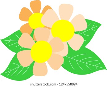 Beautiful flower background.
