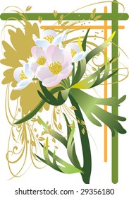 beautiful flower, background, border, branches