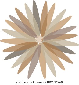 Beautiful flower brown petal vector design