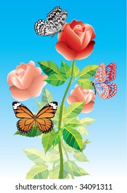 Hermosa flor y mariposa. Vector.
