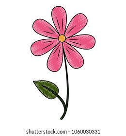 Beautiful flower cartoon