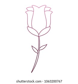 Beautiful flower cartoon