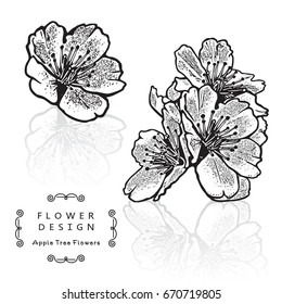 Beautiful Flower of Cherry Blossom, Sakura Flowers. Vector Isolated Illustration on White Background. The result of black and white auto-trace adapted for easy use. 