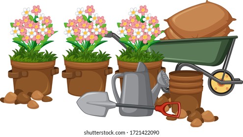 Beautiful flower in clay pots on white background illustration