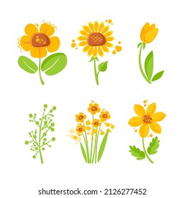 Beautiful  flower collection. Flower compositions.