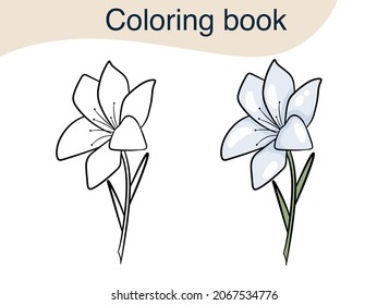 Beautiful flower. Coloring book. Cartoon vector illustration.