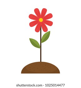 beautiful flower cultivated icon