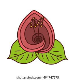 beautiful flower cute icon vector illustration design