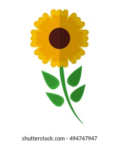 beautiful flower cute icon vector illustration design