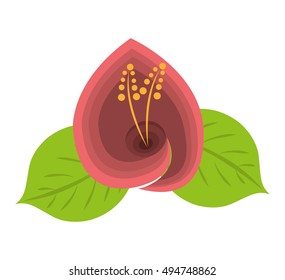 beautiful flower cute icon vector illustration design