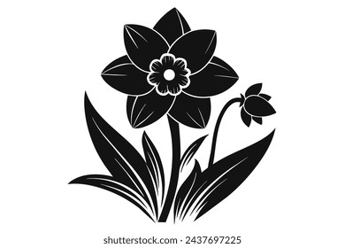 Beautiful flower daffodil vector illustration