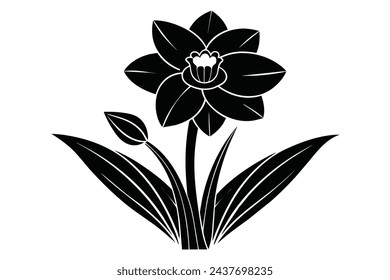 Beautiful flower daffodil vector illustration