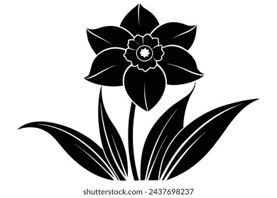 Beautiful flower daffodil vector illustration