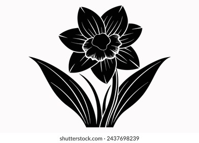 Beautiful flower daffodil vector illustration