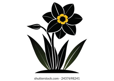 Beautiful flower daffodil vector illustration