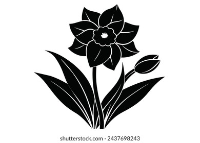 Beautiful flower daffodil vector illustration