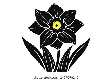 Beautiful flower daffodil vector illustration