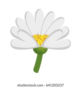 beautiful Flower decoration icon