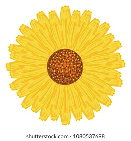 beautiful flower decorative icon