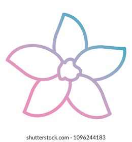beautiful flower decorative icon