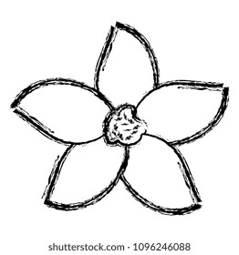 beautiful flower decorative icon