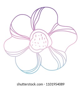 beautiful flower decorative icon