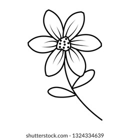 beautiful flower decorative icon