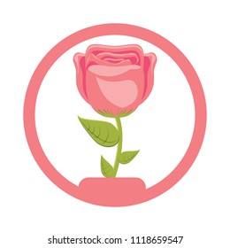 beautiful flower design