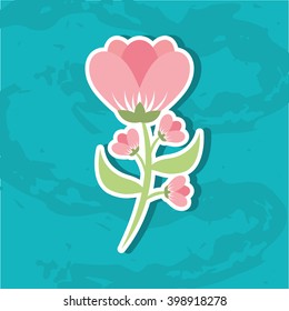 beautiful flower  design 