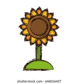 beautiful flower design