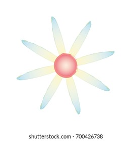 Beautiful flower design