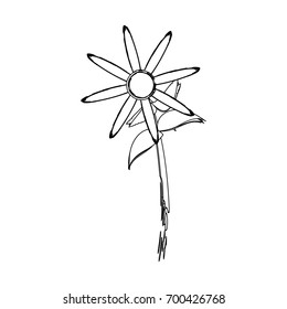 Beautiful flower design