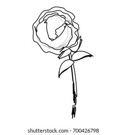 Beautiful flower design