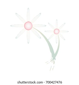 Beautiful flower design