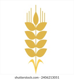 Beautiful flower design shape vector