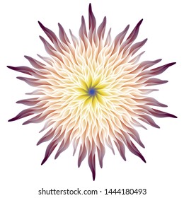 A beautiful flower design as vector.