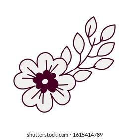 beautiful flower desing isolated icon, vector illustration