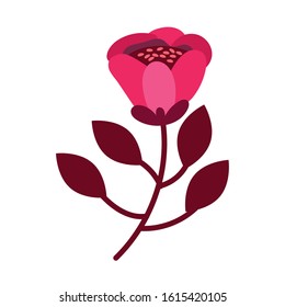 beautiful flower desing isolated icon, vector illustration