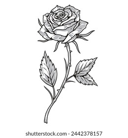 Beautiful flower detailed sticker monochrome with elegant rose on long stem with thorns for florist clothing design vector illustration