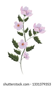 Beautiful flower drawing