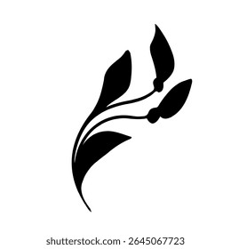 Beautiful Flower Drawing design art