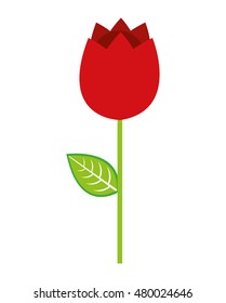 beautiful flower drawing isolated vector illustration design