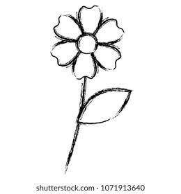 beautiful flower drawing monochrome